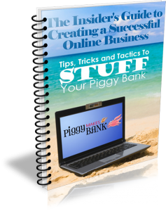 InsidersGuidetoCreatingaSuccessfulOnlineBusiness-piggymakesbank-ringspiralbinder