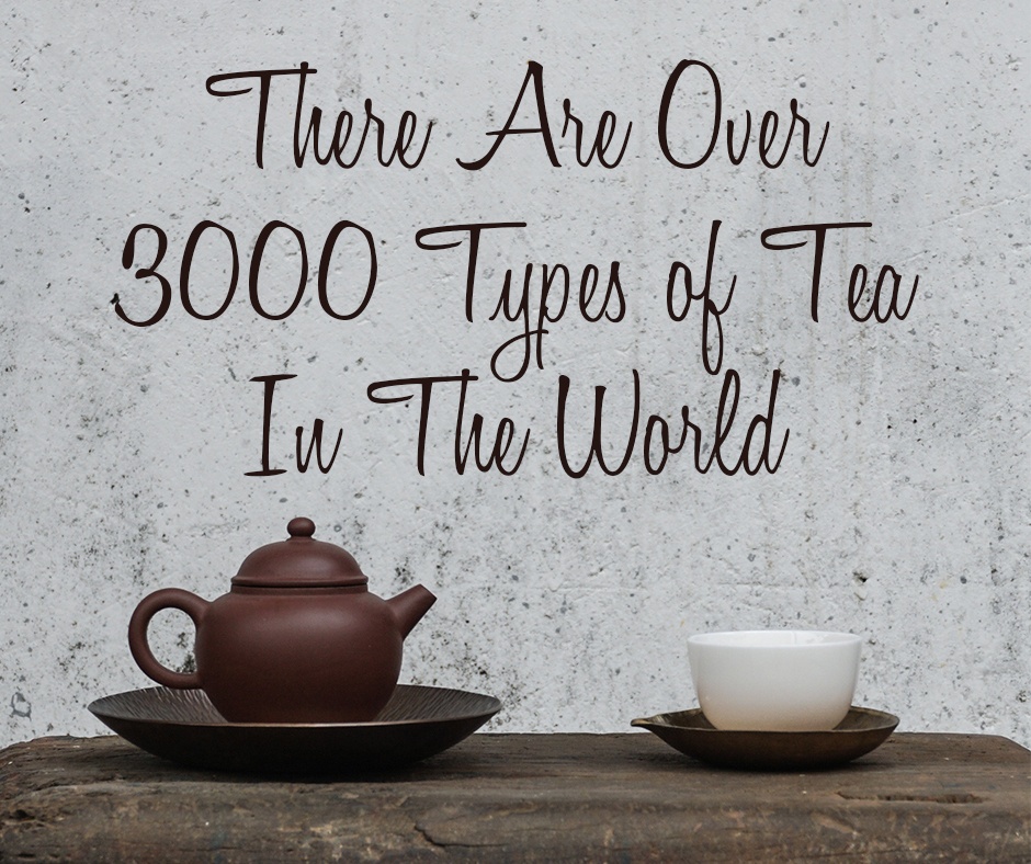 1 - There Are Over 3000 Types of Tea In The World