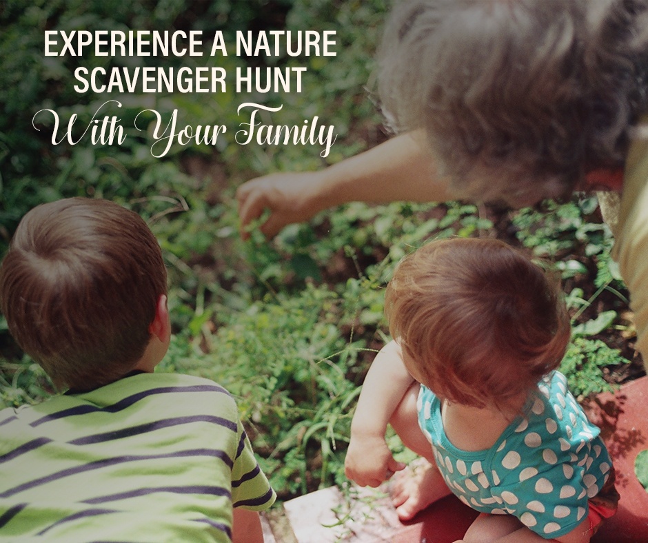 4-Experience A Nature Scavenger Hunt With Your Family