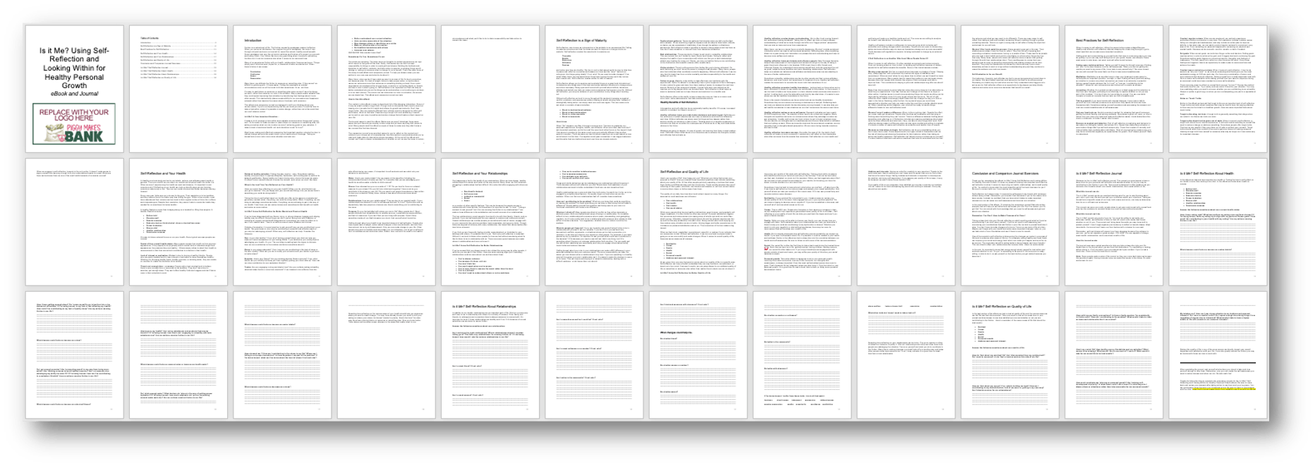 Self Reflection Ebook and Journal