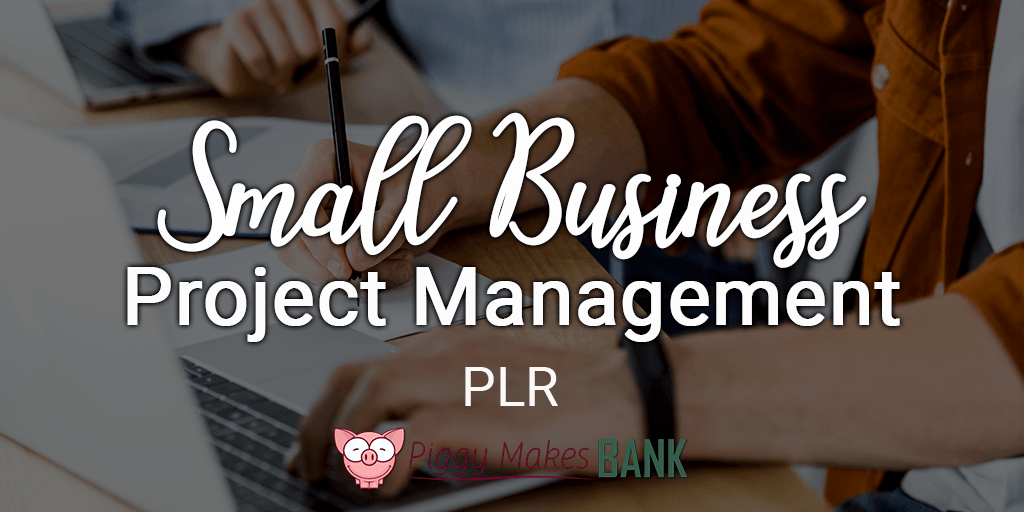 small business project management