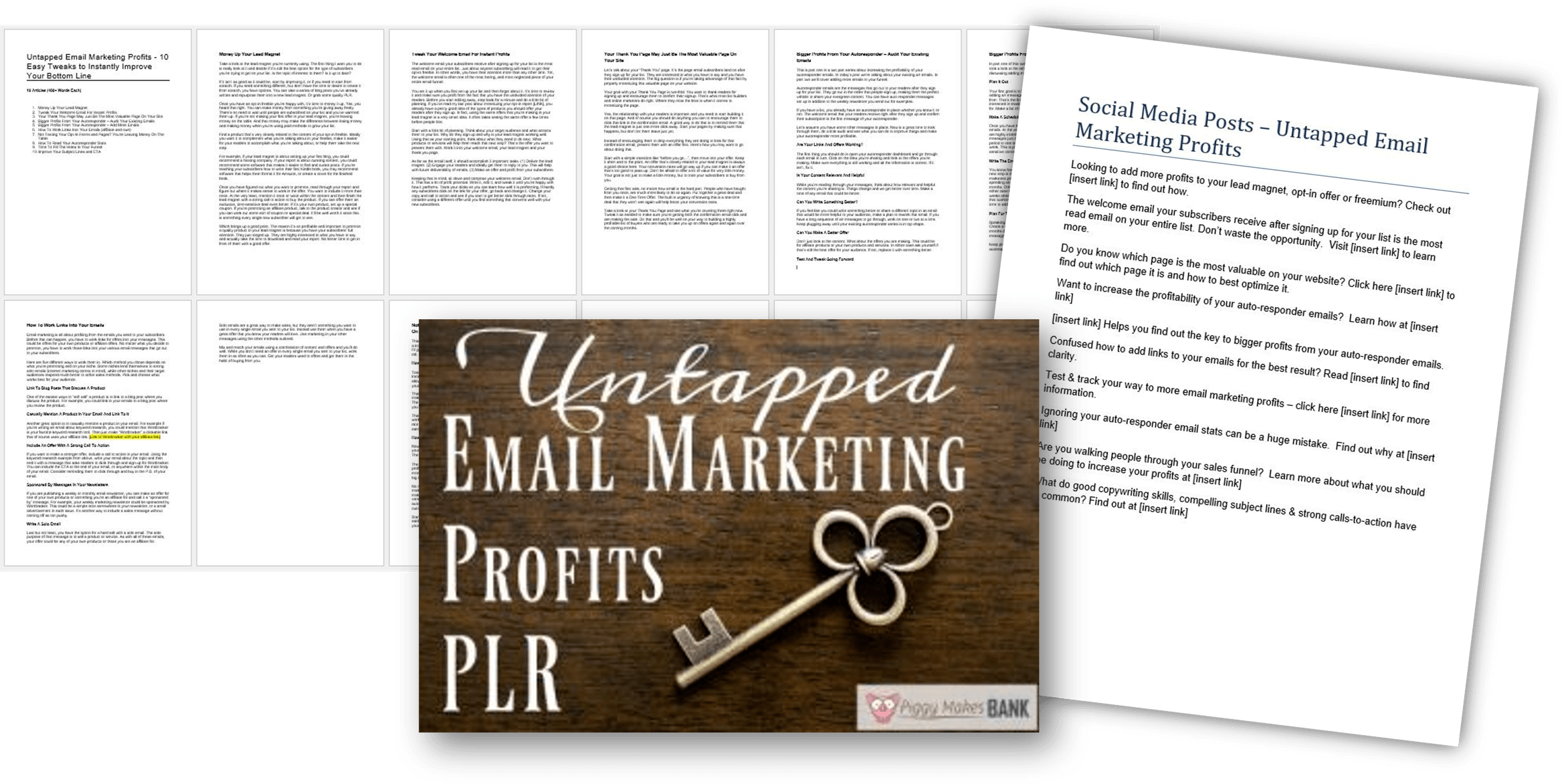 Untapped Email Marketing Profits PLR