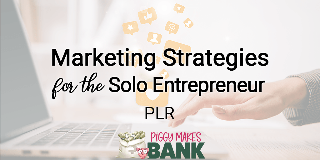 marketing strategies for the solo entrepreneur plr