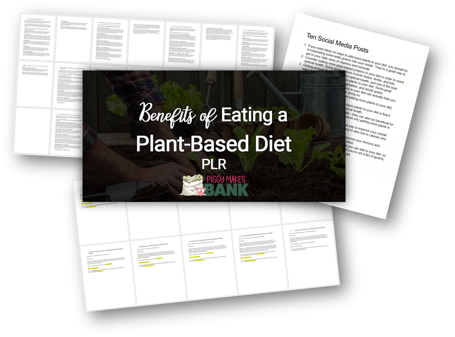 Benefits of Eating a PlantBased Diet Piggy Makes Bank