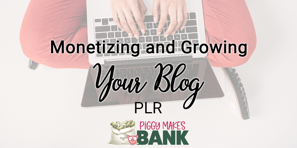Monetizing and Growing Your Blog PLR