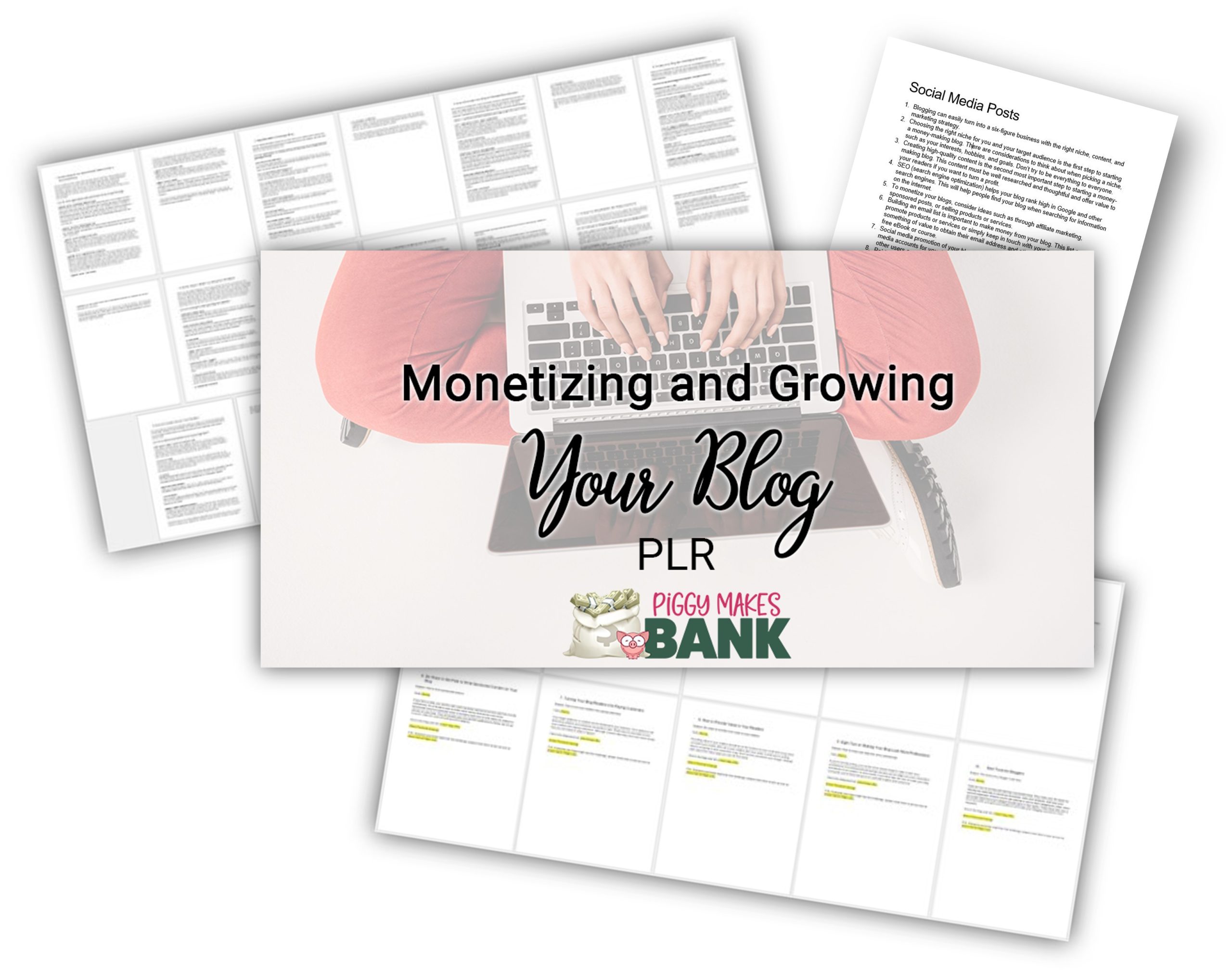 monetizing and growing your blog plr