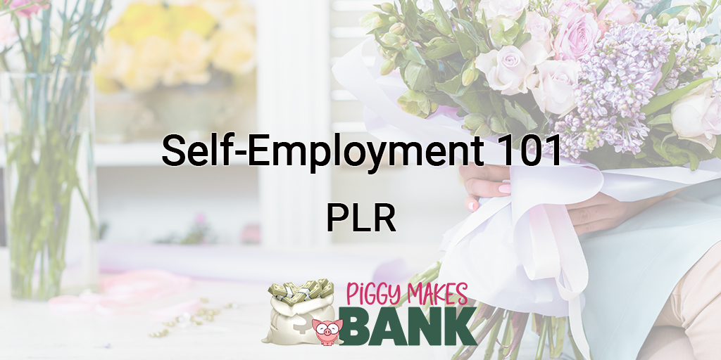 Self-Employment 101 plr