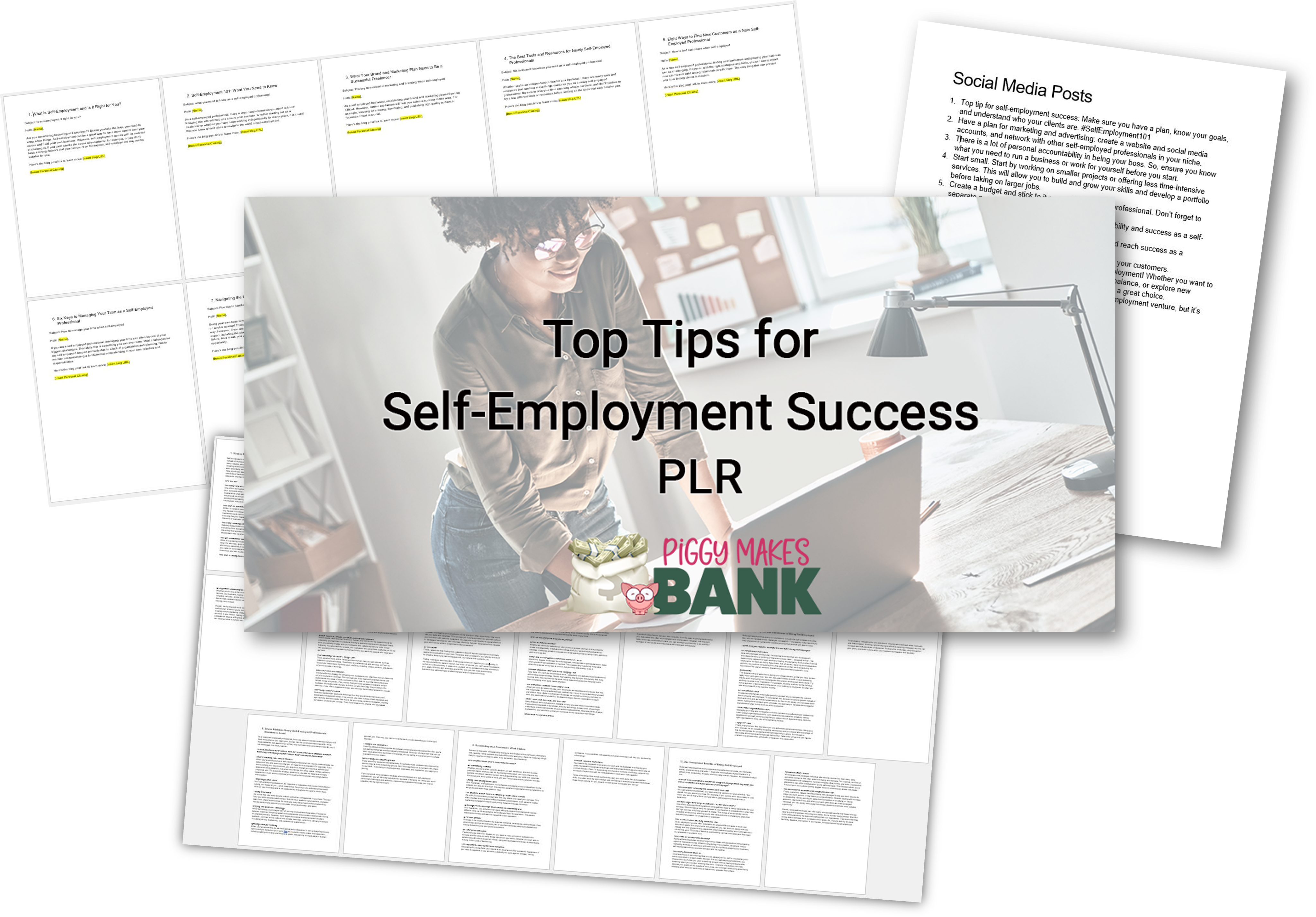 Top Tips for Self-Employment Success PLR