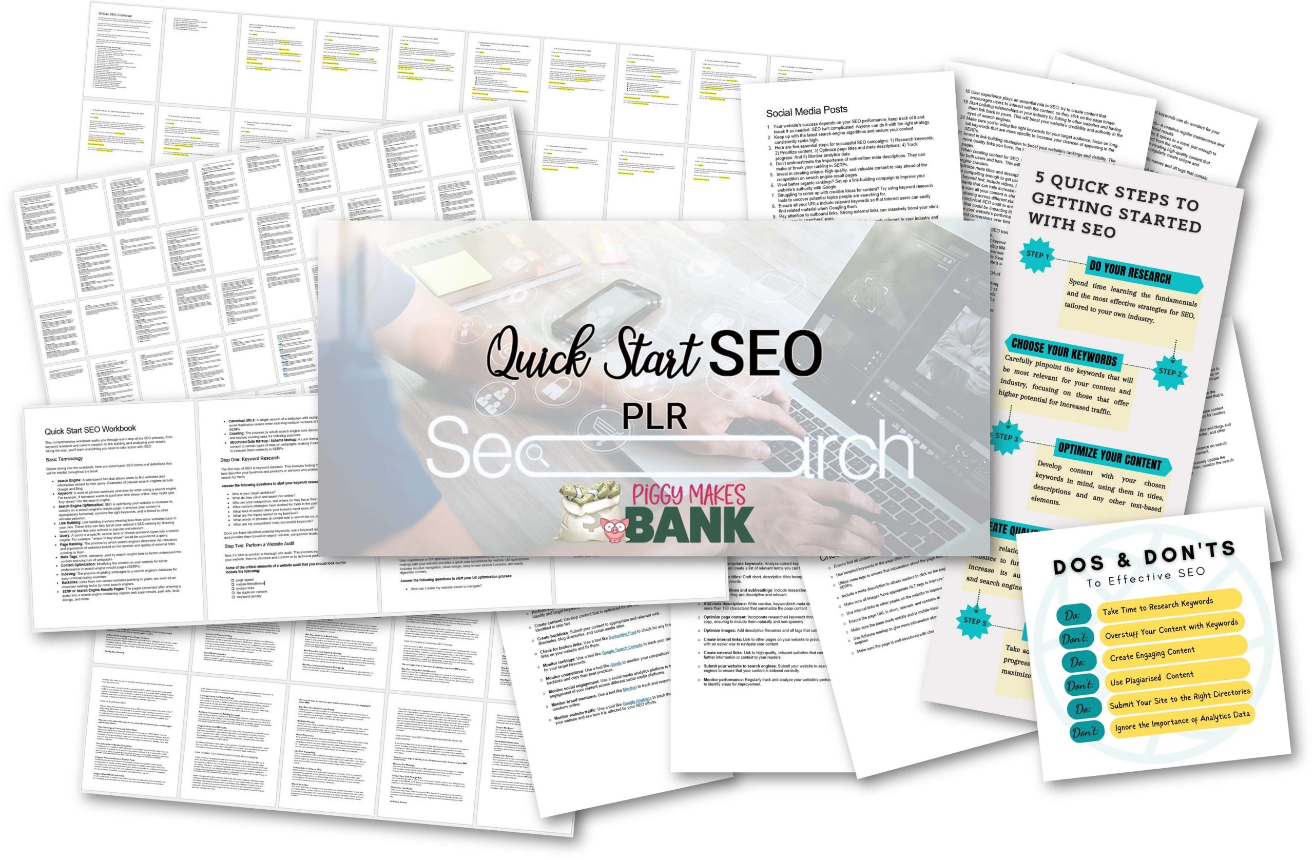 quick start seo plr