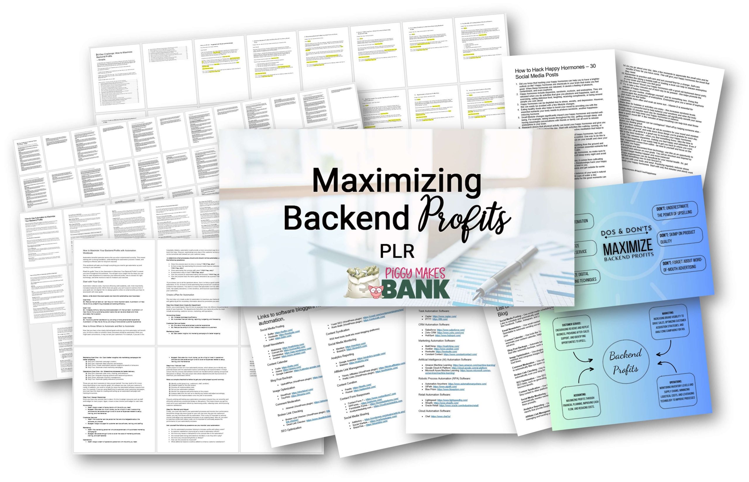 Maximizing Backend Profits PLR