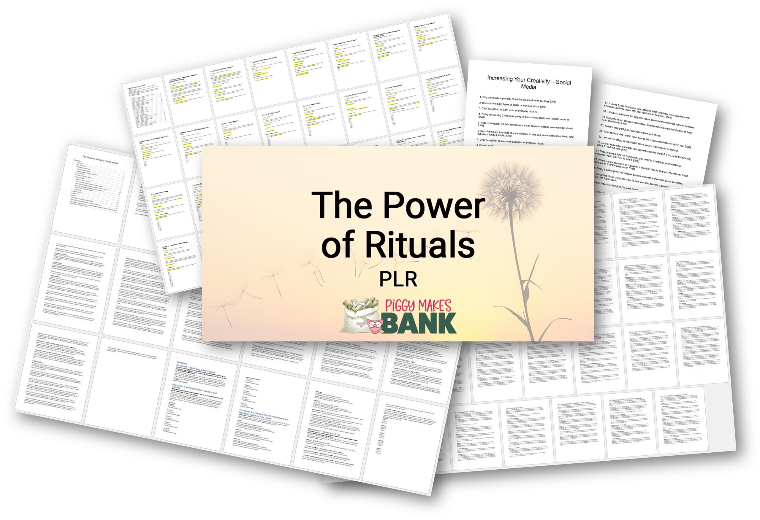 The Power of Rituals