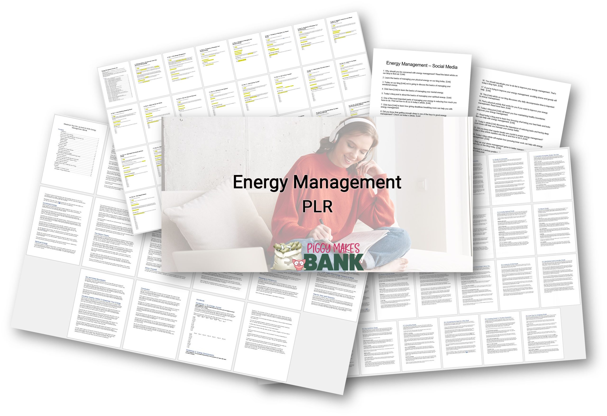 energy management plr