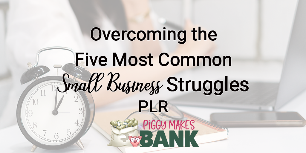 Overcoming the five most common small business struggles plr